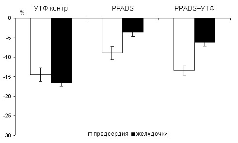         PPADS   -6