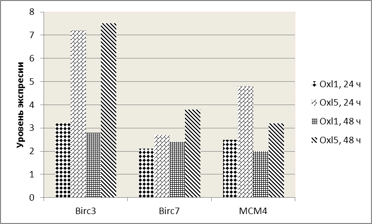     Birc3, Birc7, MCM4   -11